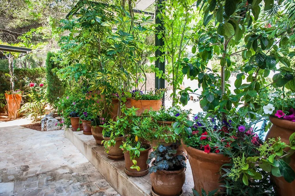 Apartamentos Cala Murada Minigolf